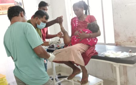 ଭାଲୁ ଆକ୍ରମଣରେ ଦୁଇ ବର୍ଷର ଶିଶୁ କନ୍ୟା ଗୁରୁତର।