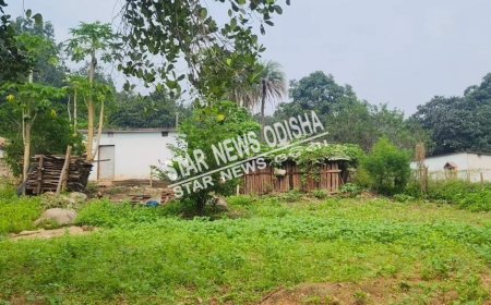 ଦୁର୍ଗମରେ ଦୁର୍ଦଶା ଭୋଗୁଛନ୍ତି ୪୫ପରିବାର ।ସମସ୍ତ ମୌଳିକ ସୁବିଧାରୁ ବଞ୍ଚିତ ।