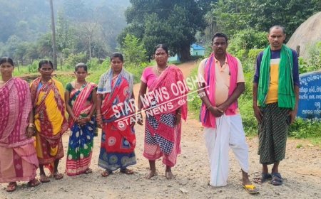 ଲକ୍ଷ୍ମୀ ବସ ସେବା ରୁ ବଞ୍ଚିତ କୁଏରୀମାଣ୍ଡୁ ପଞ୍ଚାୟତର ୪ଗୋଟି ୱାର୍ଡ ବାସିନ୍ଦା । ବସ ସେବା ଯୋଗେଇ ଦେବାକୁ ଦାବୀ ।