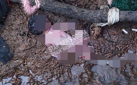 ନବଜାତ ଶିଶୁ କନ୍ୟାକୁ ନାଳରେ ଫୋଫାଡ଼ି ଚାଲିଗଲା ନିର୍ଦୟୀ ମାଁ ।