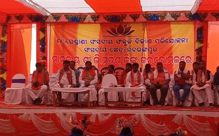 ଷଣ୍ଡସା ଠାରେ ସଂସଦୀୟ ସଂକୁଳ ବିକାଶ ପରିଯୋଜନାର ଶୁଭ ଉଦ୍ଘାଟନ ।