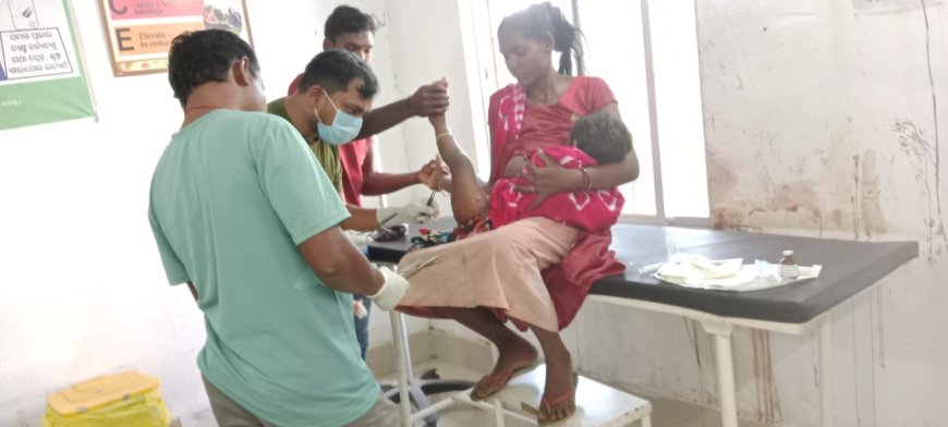 ଭାଲୁ ଆକ୍ରମଣରେ ଦୁଇ ବର୍ଷର ଶିଶୁ କନ୍ୟା ଗୁରୁତର।