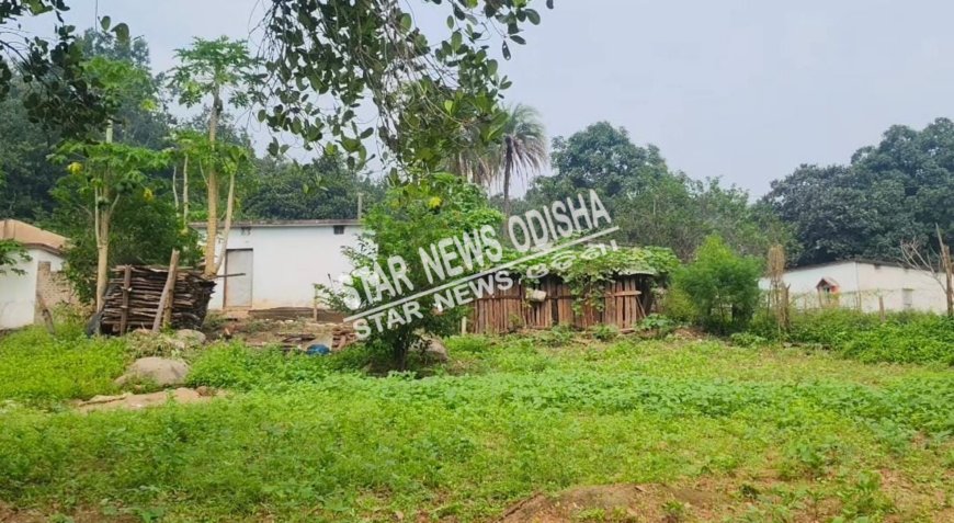 ଦୁର୍ଗମରେ ଦୁର୍ଦଶା ଭୋଗୁଛନ୍ତି ୪୫ପରିବାର ।ସମସ୍ତ ମୌଳିକ ସୁବିଧାରୁ ବଞ୍ଚିତ ।