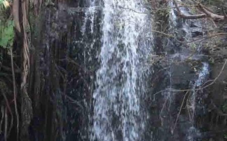 ଶୀତ ଦିନେ ମନେପଡେ ୩ ଜଳପ୍ରପାତ।