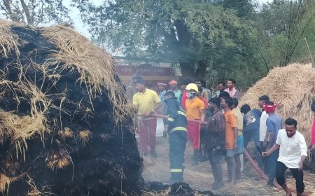 ନିଆଁ ଲାଗି ୯ ଏକର ଧାନ ନଷ୍ଟ, ଚିନ୍ତାରେ ଚାଷୀ।