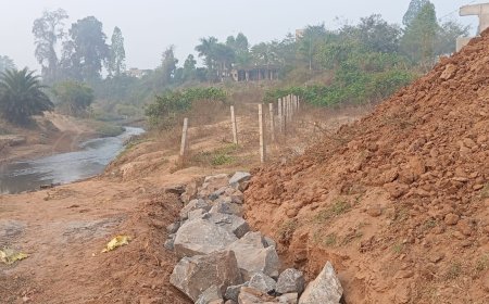 ପେଣ୍ଟା ଗ୍ରାମ ପଞ୍ଚାୟତ ତାମ୍ପରଗୁଡା ଗାଁର ସାର୍ବଜନୀନ ମଶାଣି ଜମିରେ ଅବୈଧ ହସ୍ତକ୍ଷେପ  ମୌଳିକ ମାନବାଧିକାର ଓ ସାର୍ବଜନୀନ ଆଇନ ଉଲ୍ଲଂଘନର ଗମ୍ଭୀର ଅଭିଯୋଗ