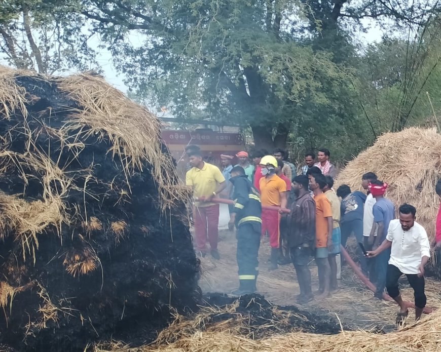 ନିଆଁ ଲାଗି ୯ ଏକର ଧାନ ନଷ୍ଟ, ଚିନ୍ତାରେ ଚାଷୀ।