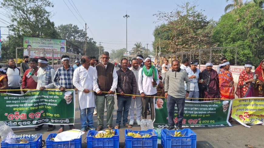 ଚାଷୀ ବିରୋଧୀ ନୀତିରେ ଫୁଟିଲା କୃଷକ ଆକ୍ରୋଶ, ଓଡିଶା ବନ୍ଦ ସଫଳ