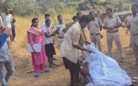 ହାତୀ ଆକ୍ରମଣରେ ଚାଷୀ ମୃତ