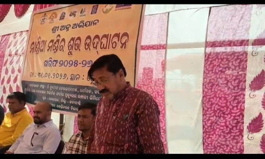 କଳାହାଣ୍ଡି ଜିଲ୍ଲାରେ ପ୍ରଥମ ମାଣ୍ଡିଆ ମଣ୍ଡି ଉଦଘାଟିତ।