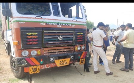 ଭବାନିପାଟଣା ବାଇପାସ୍ ଠାରେ ଗୋରୁ ବୋଝେଇ କଣ୍ଟେନର ଜବତ l