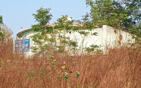 କୁର୍ଲୁପଡା ଗ୍ରାମରେ RWSS ପାଇପ ଯୋଗାଣ ବ୍ୟବସ୍ଥା ଅଚଳ: ପାଣି ସଙ୍କଟରେ ଗ୍ରାମବାସୀ