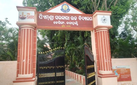 ଜନପ୍ରତିନିଧି ଓ ସରକାରୀ ଅଧିକାରୀଙ୍କ ସନ୍ତାନ ଓଡ଼ିଆ ମାଧ୍ୟମରେ ପଢ଼ିଲେ ଶିକ୍ଷା ବ୍ୟବସ୍ଥା ଆହୁରି ସୁଦୃଢ଼ ହେବ : କେସିଙ୍ଗା ବୁଦ୍ଧିଜୀବୀଙ୍କ ମତ