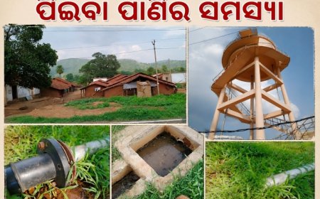 ଗୋଇପିଟା ଗ୍ରାମରେ ବିଶୁଦ୍ଧ ପାନୀୟ ଜଳ ସଙ୍କଟ, ଝରଣା ଓ ନାଳ ପାଣି ପିଇବାକୁ ବାଧ୍ୟ ଗ୍ରାମବାସୀ