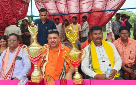 ୟଙ୍ଗ ଷ୍ଟାର କ୍ରିକେଟ ଟୁର୍ଣ୍ଣାମେଣ୍ଟ ଫାଇନାଲ: କାଉଡୋଳା ଚାମ୍ପିଅନ, ବିଧାୟକଙ୍କ ବ୍ୟାଟିଂରେ ଖେଳ ପଡ଼ିଆରେ ଉତ୍ସାହ