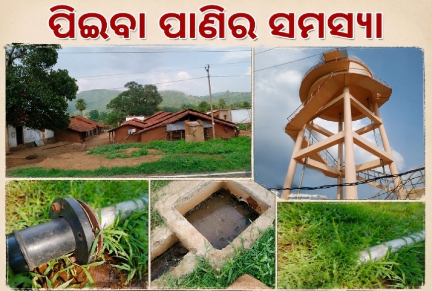 ଗୋଇପିଟା ଗ୍ରାମରେ ବିଶୁଦ୍ଧ ପାନୀୟ ଜଳ ସଙ୍କଟ, ଝରଣା ଓ ନାଳ ପାଣି ପିଇବାକୁ ବାଧ୍ୟ ଗ୍ରାମବାସୀ