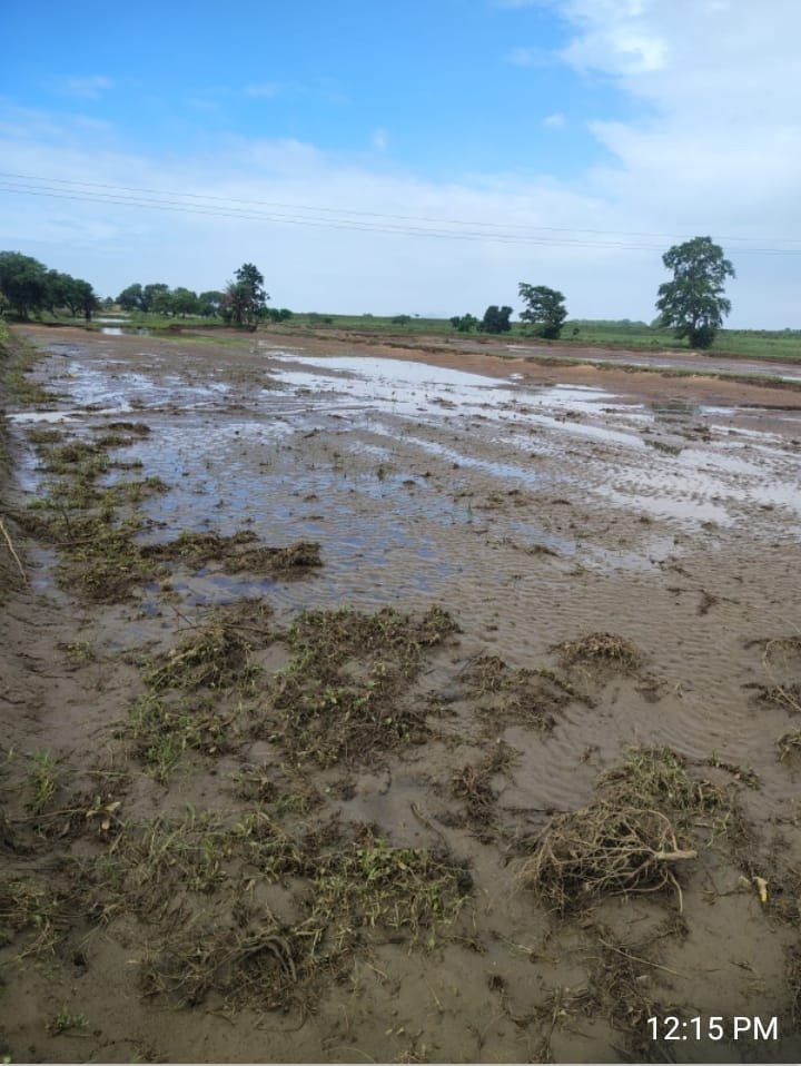 ଅସମ୍ପୂର୍ଣ୍ଣ ନଦୀବନ୍ଧ କାର୍ଯ୍ୟ ଯୋଗୁଁ ସୁକୁନାଭଟାରେ ବନ୍ୟା ବିଭୀଷିକା
