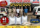 ୪୧ କେଜି ଗଞ୍ଜେଇ ଜବତ, ଜଣେ ଅଟକ କେସିଙ୍ଗା ନୂତନ ବସଷ୍ଟାଣ୍ଡ ନିକଟରେ ପୋଲିସର ଚଢ଼ାଉ 