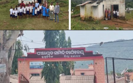 ଶ୍ରେଣୀଗୃହ ନାହିଁ, ବନ ବିଭାଗର ଭଙ୍ଗା ଘରେ ପାଠପଢ଼ା ଧରଣୀମାସ୍କା UPSରେ ୨୯ ଛାତ୍ରଛାତ୍ରୀଙ୍କ ଶିକ୍ଷା ବ୍ୟବସ୍ଥାକୁ ନେଇ ପ୍ରଶ୍ନ; ତଦନ୍ତ ଦାବି