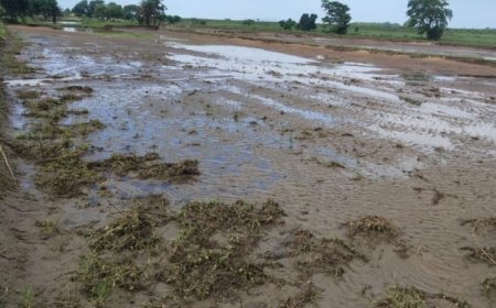 ଅସମ୍ପୂର୍ଣ୍ଣ ନଦୀବନ୍ଧ କାର୍ଯ୍ୟ ଯୋଗୁଁ ସୁକୁନାଭଟାରେ ବନ୍ୟା ବିଭୀଷିକା