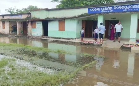 ପାଣି ଘେରରେ ତେରେସିଂହା ସ୍କୁଲ ଓ ଅଙ୍ଗନବାଡ଼ି କେନ୍ଦ୍ର ବିପଦରେ ୧୧୬ ଛାତ୍ରଛାତ୍ରୀ; ଦୂଷିତ ପାଣି ଓ ମଶାମାଛିରେ ଅସ୍ୱାସ୍ଥ୍ୟକର ପରିବେଶ