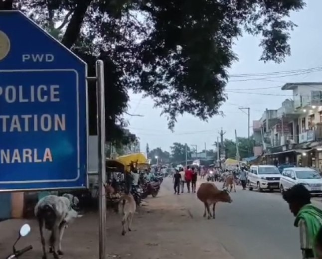 ନର୍ଲା ପୁଲିସକୁ ବଡ଼ ସଫଳତା: ବିଦେଶୀ ମଦ ବୋଝେଇ ପିକ୍‌ଅପ୍‌ ଜବତ ସନ୍ଦେହରେ ଗାଡ଼ି ଅଟକାଇ ତଲାସି; ଡ୍ରାଇଭର ଅଟକ, ଚାଲିଛି ତଦନ୍ତ